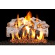Real Fyre Charred Mountain Birch Listed Gas Log Set